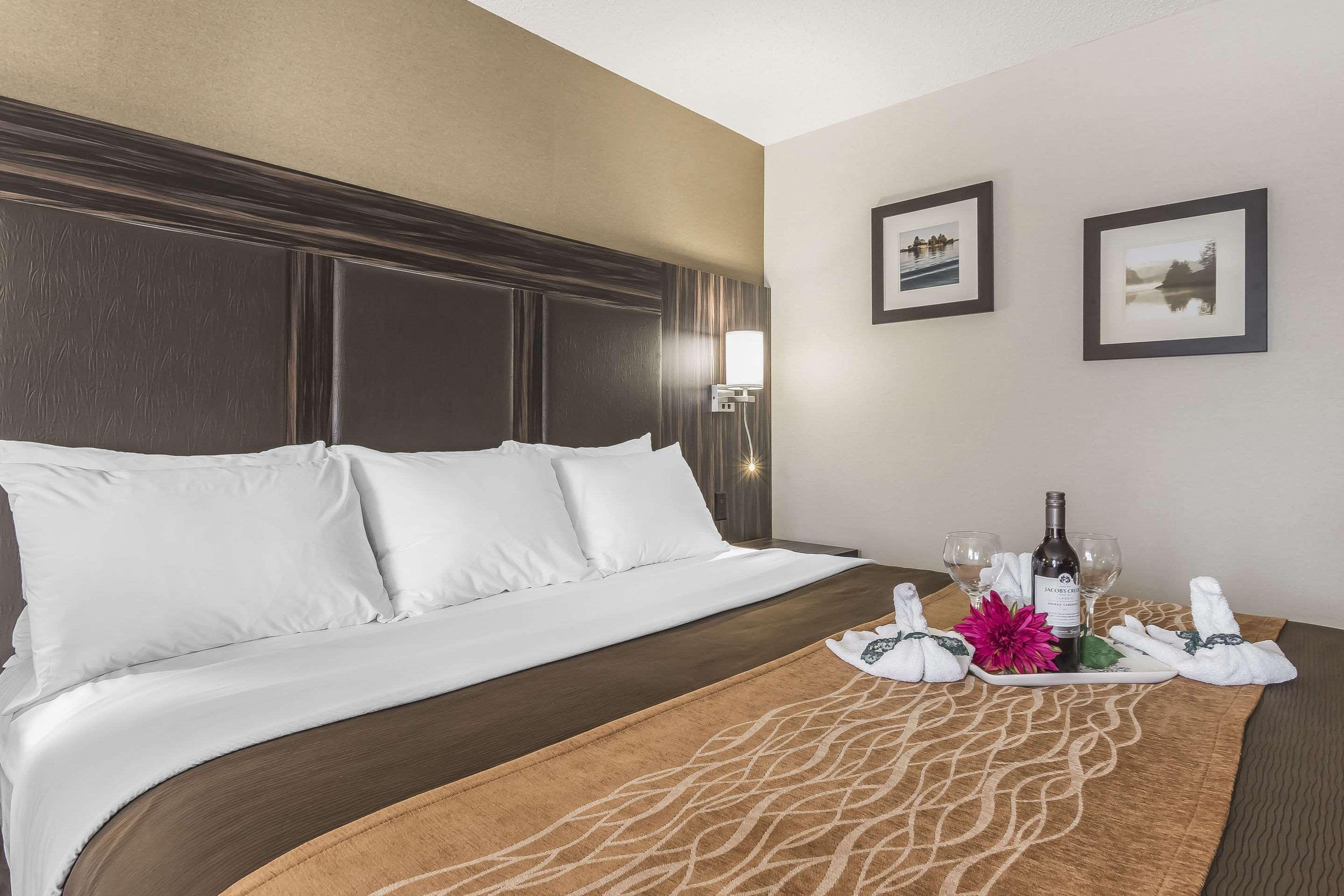 Comfort Inn Trenton Esterno foto